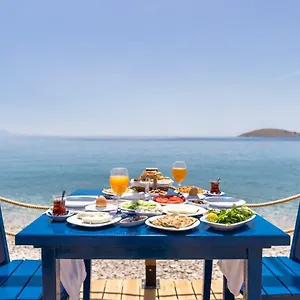 Karia Palamutbükü